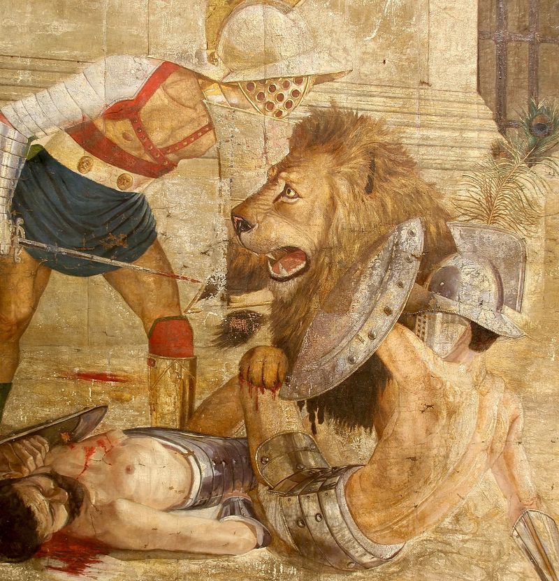 Gladiators fighting Barbary Lion