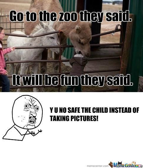 Go to the zoo, they said