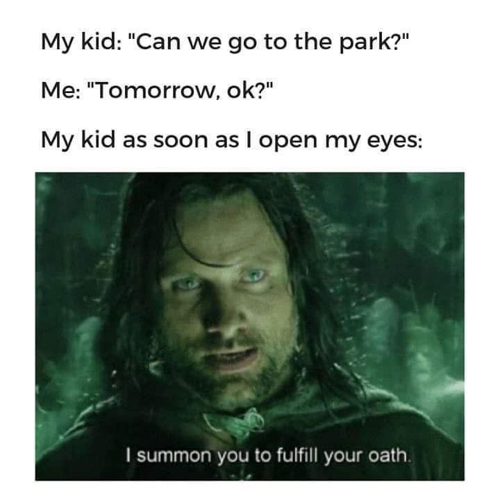 Going to the park meme