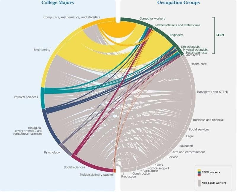 Graph of where male STEM majors work