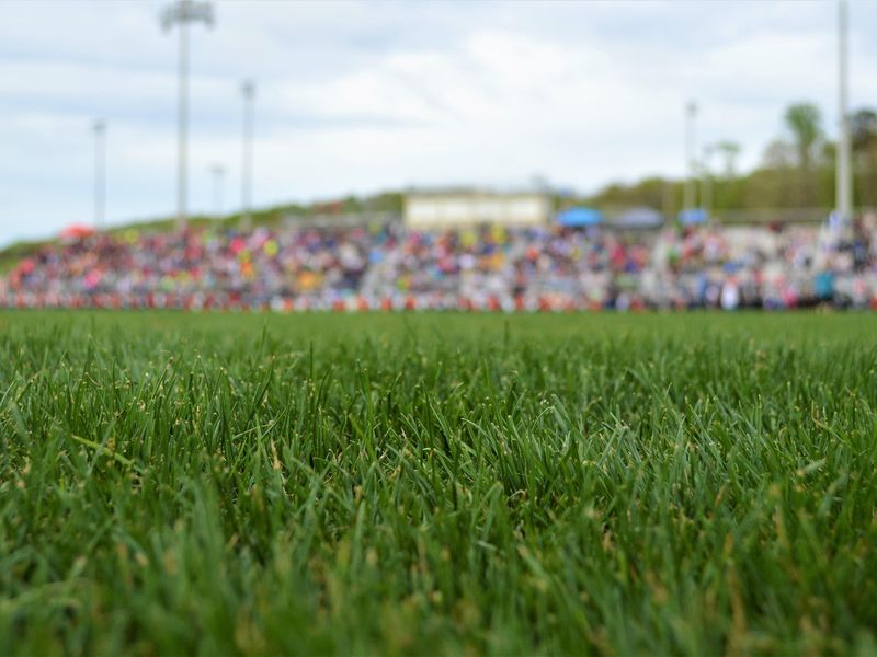 Grass field at a sports stadium