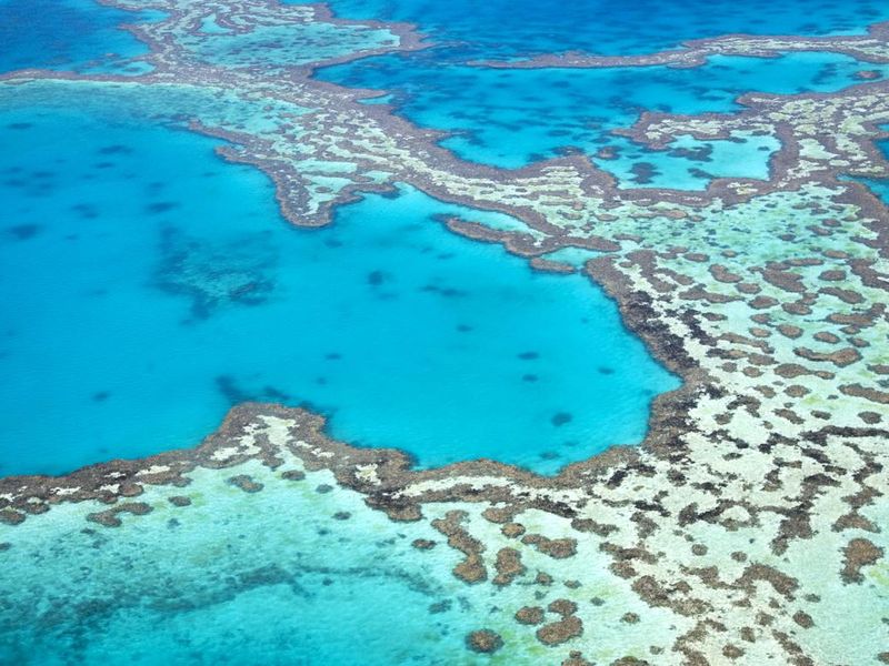 Great Barrier Reef from above