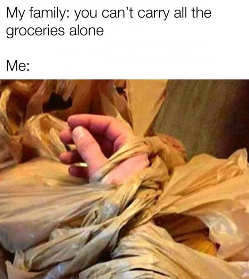 Grocery bags meme