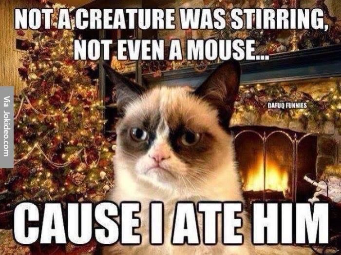 Grumpy cat Christmas meme