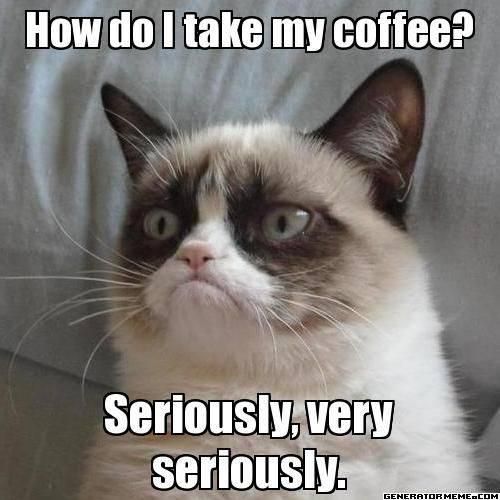 Grumpy cat coffee meme