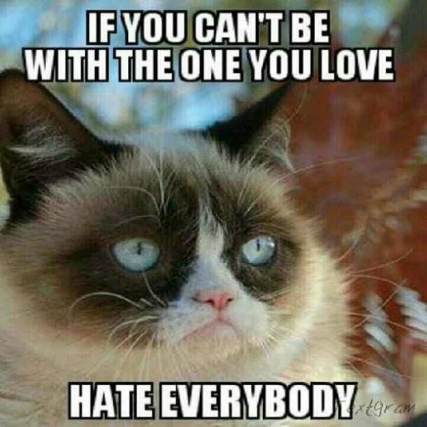 Grumpy Cat hates everyone