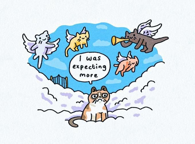 Grumpy Cat in heaven