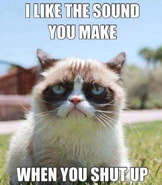 Grumpy cat meme