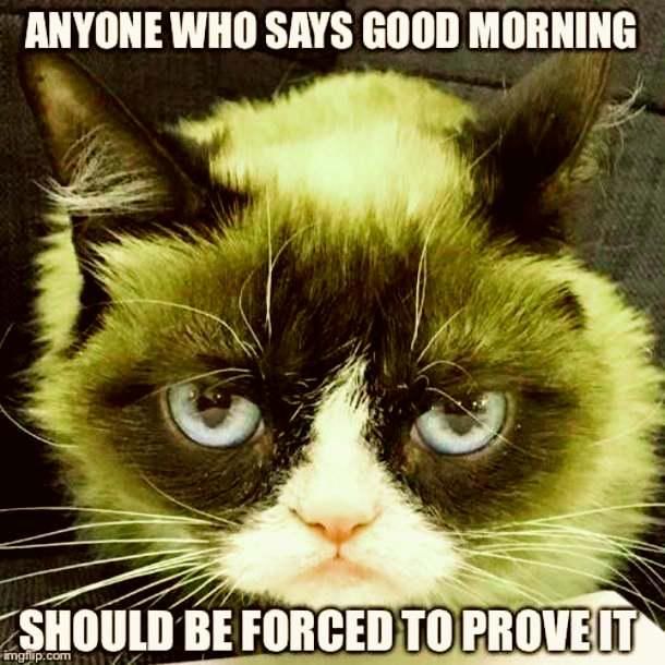 Grumpy cat morning meme