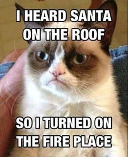 Grumpy cat Santa meme