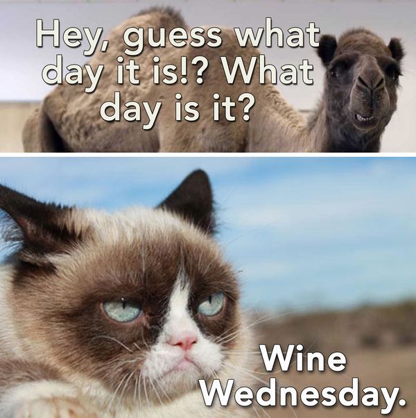 Grumpy cat Wednesday meme
