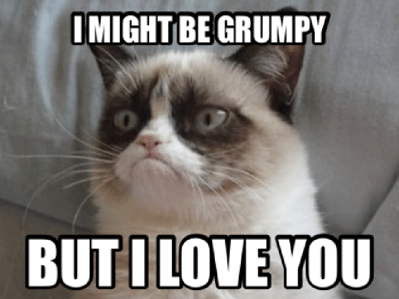 Grumpy cat with love