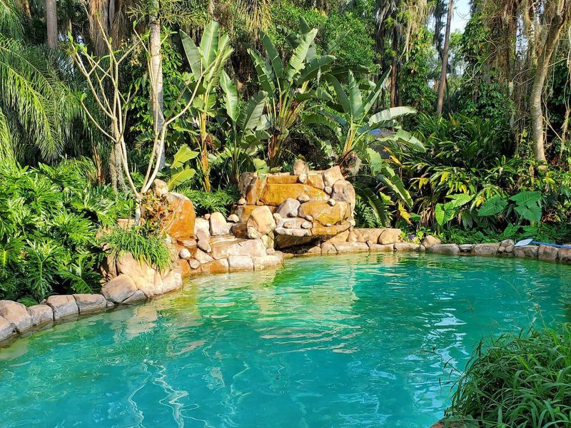 Gulf Coast Airbnb with pool