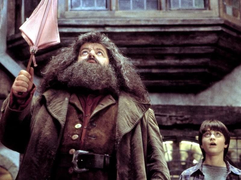 Hagrid and Harry Potter in "Harry Potter and the Sorcerer's Stone."