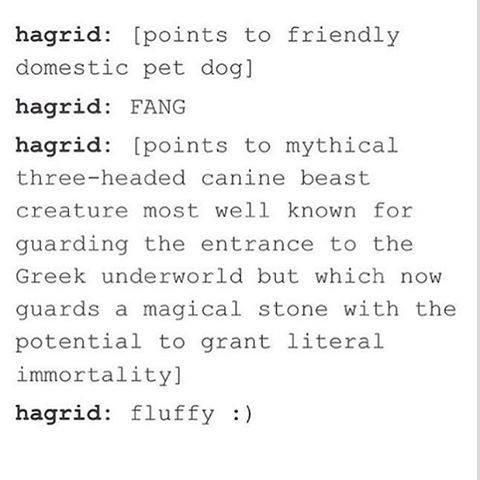 Hagrid Is the Sweetest and Nothing You Say Can Convince Us Otherwise
