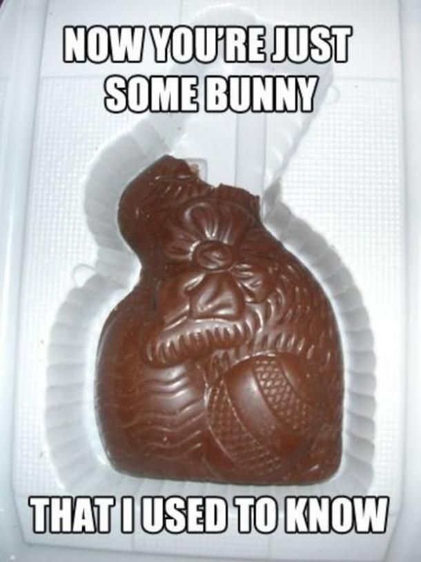 Half-eaten chocolate bunny