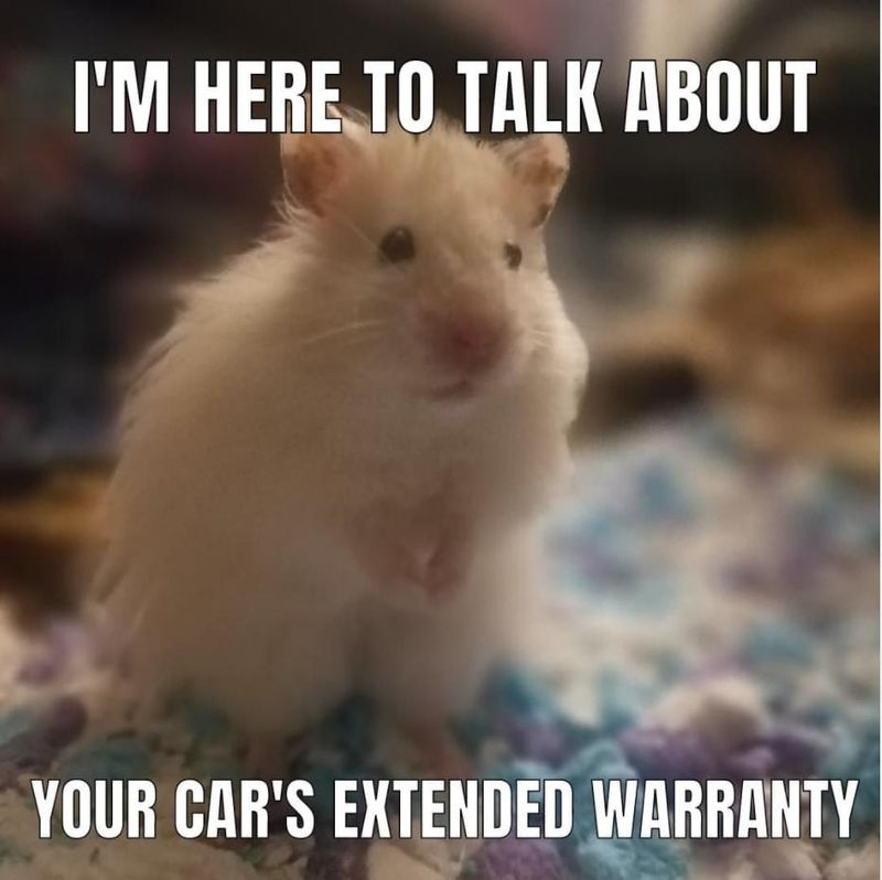Hamster asking you to extend your car's warranty