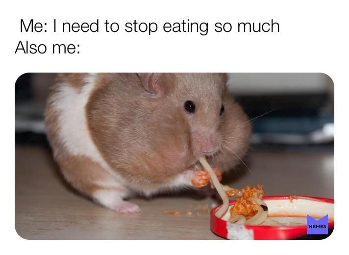 Hamster eating pasta