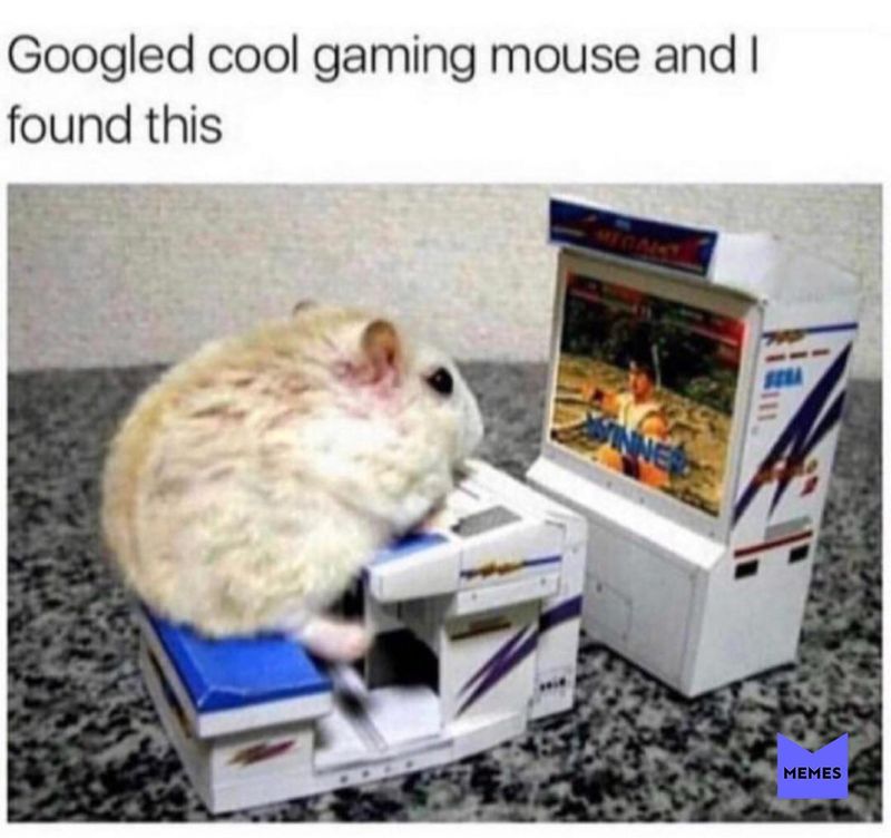 Hamster playing a video game