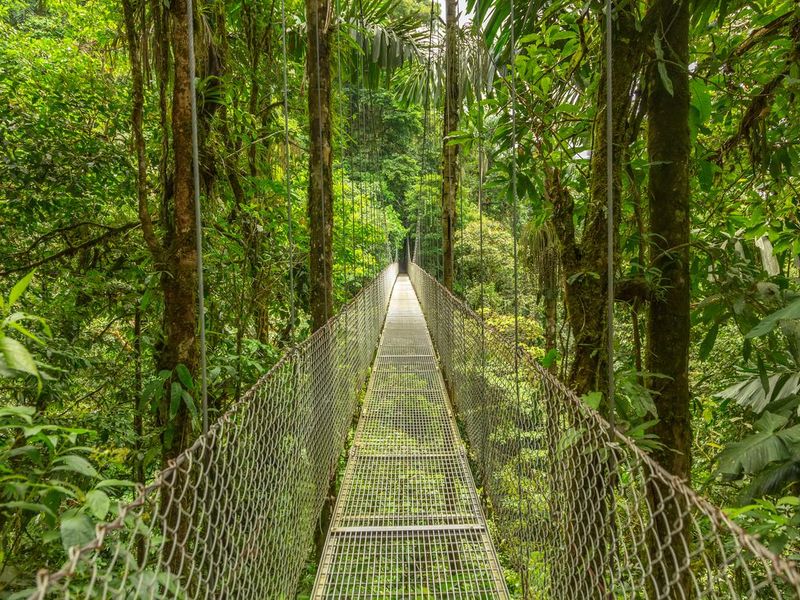 Hanging bridge in Costa Rica