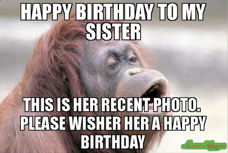 Happy birthday to my sister orangutan meme