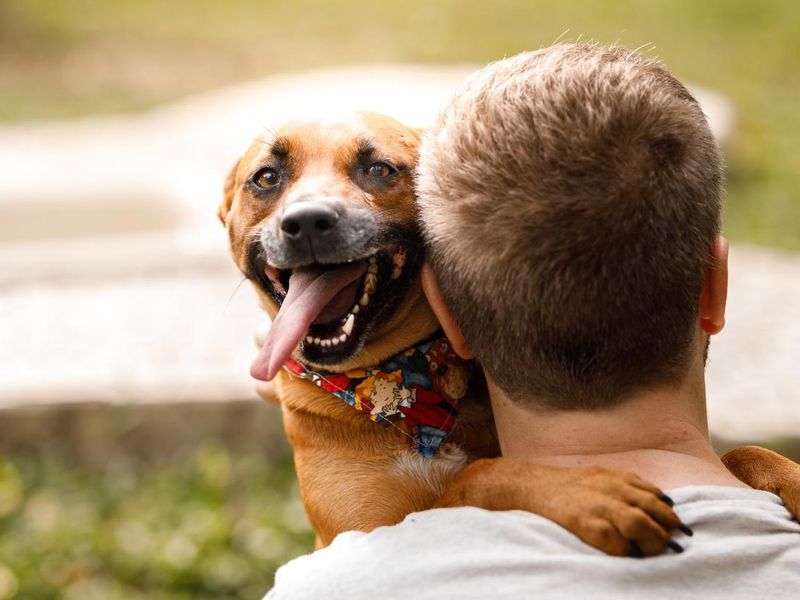 Happy dog hugging a man at dog hotel