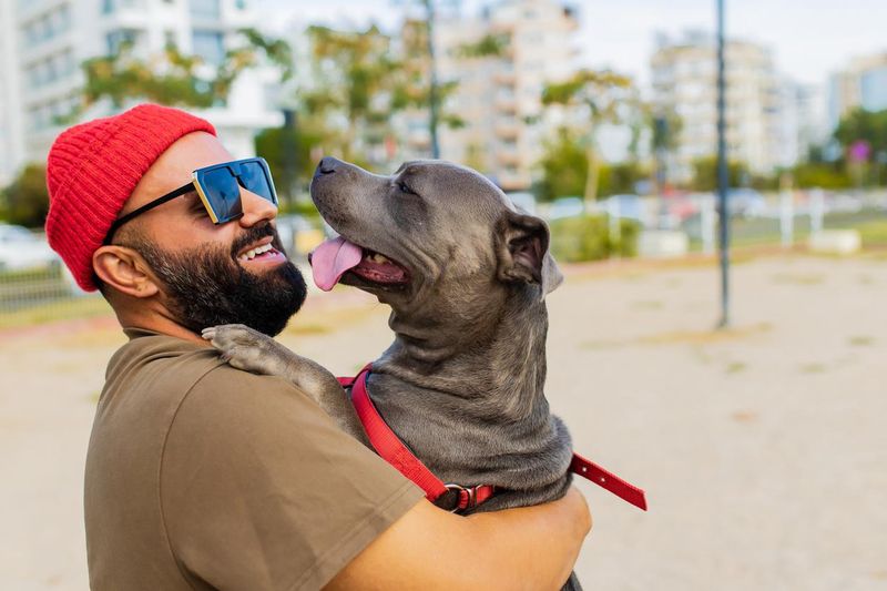 Happy man in red hat and sunglasses with a pit bull terrier