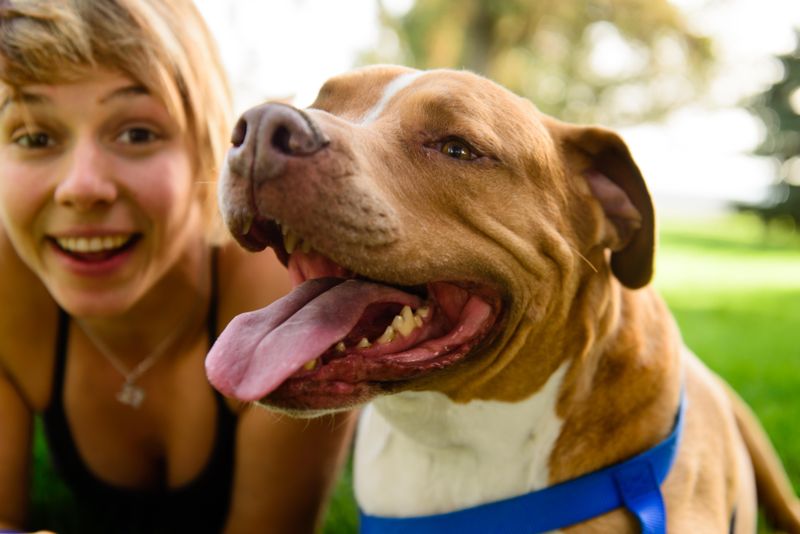 Happy pit bull with his friend, a young woman