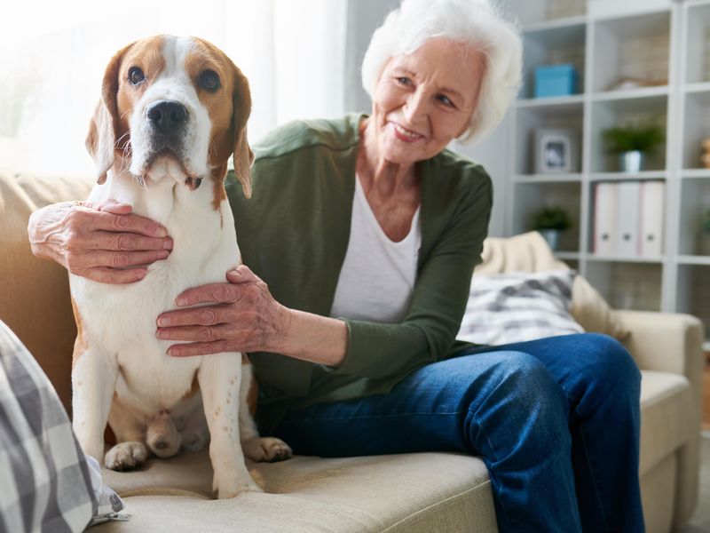 Happy senior woman embracing dog on couch