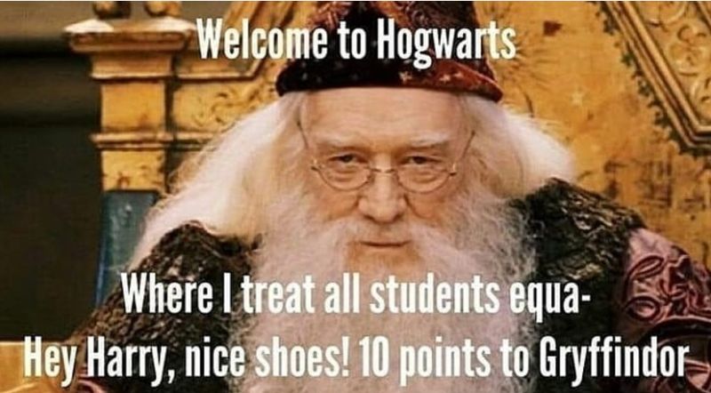 Harry Potter memes for kids