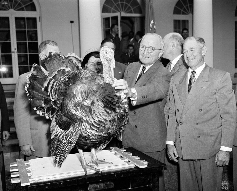 Harry Truman with a turkey