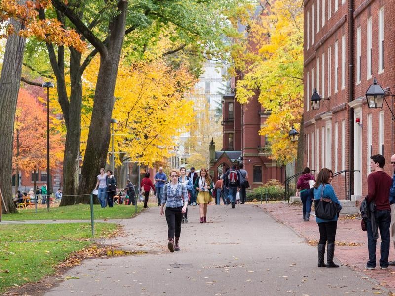 Harvard's professors are world-class