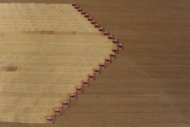 Harvesting soybeans in Brazil