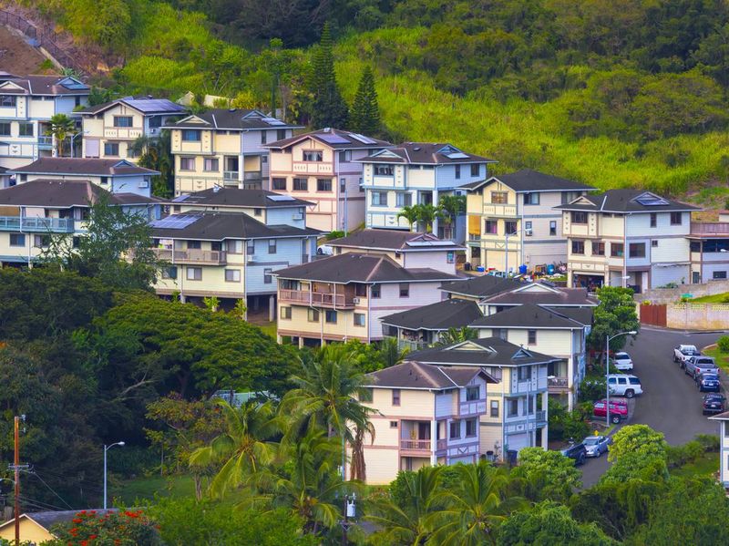 Hawaii Suburban Neighborhood