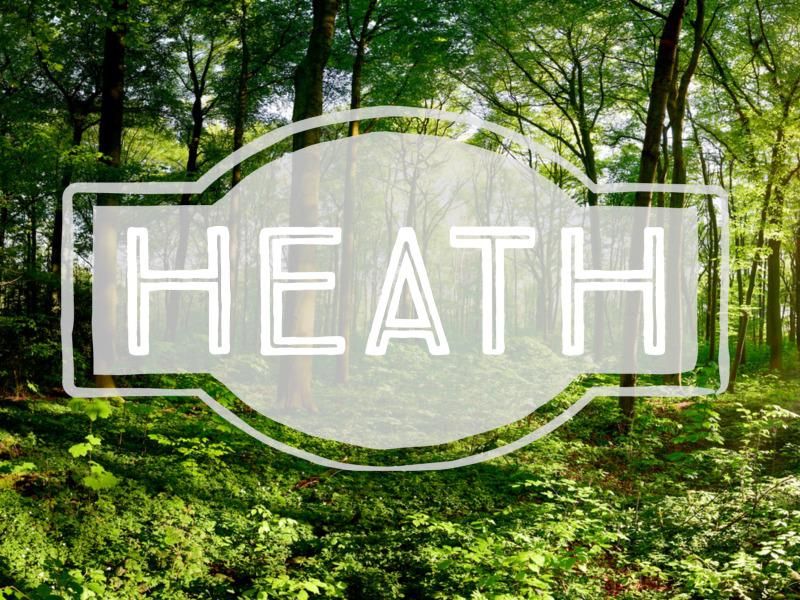 Heath nature-inspired baby name