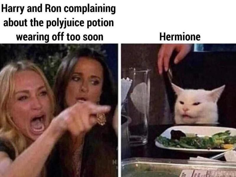 Hermione and Ron meme