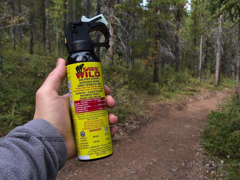 Hiker holding bear spray (Sabre Wild brand) used as bear attack deterrent in forest near Canmore, Canada with hiking trail in background. Focus on can.