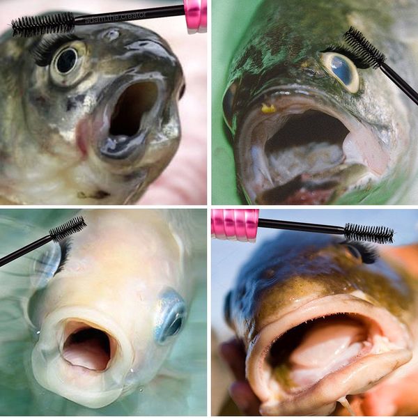 Fish Memes That Will Have You Reeling With Laughter