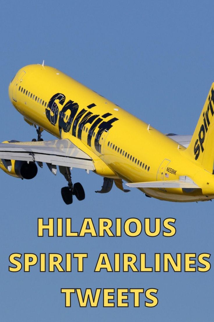 Hilarious Spirit Airlines Tweets That Are True | Far & Wide