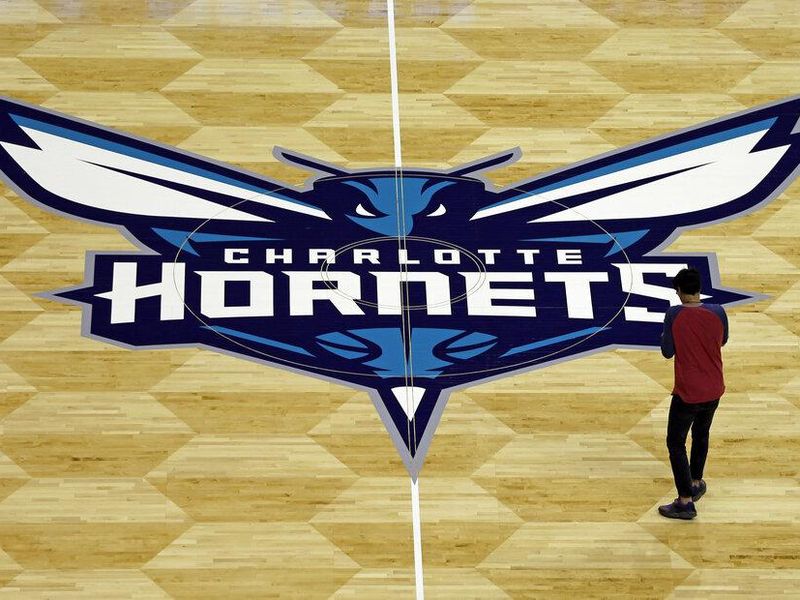Hornets current logo