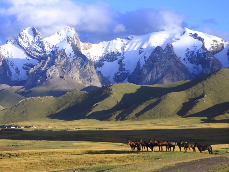 Horse and mountains in Kyrgyzstan