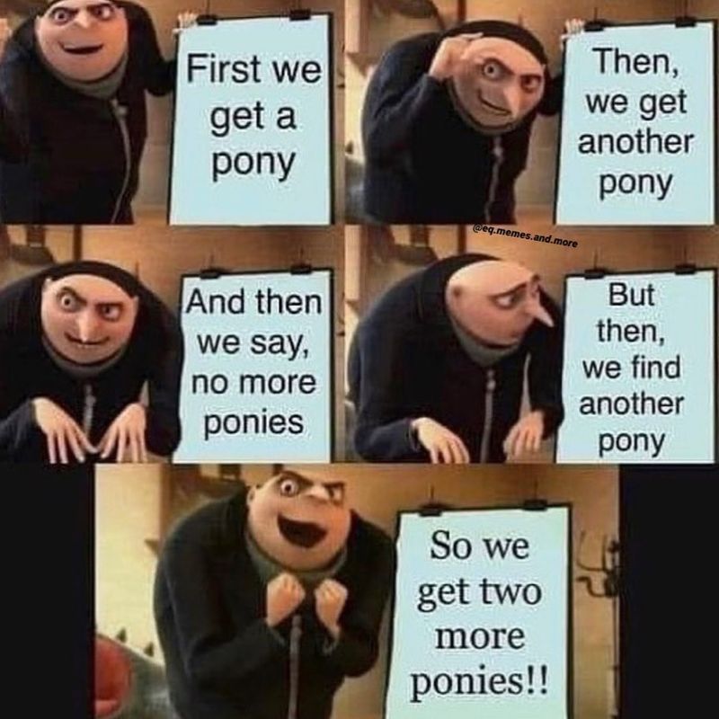 Horse meme about getting lots of ponies