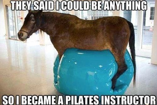 Horse pilates