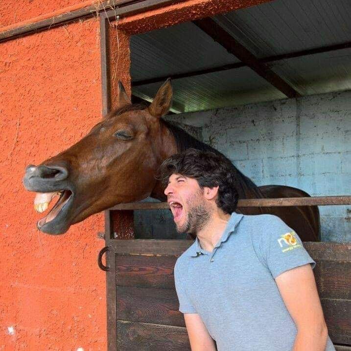 Horse Smiling with Person