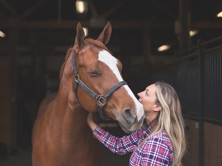 125 Fun Facts About Horses You'll Want to Share | Always Pets