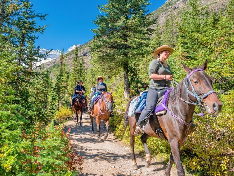 Horseback riders and horses in Canadian Rockies
