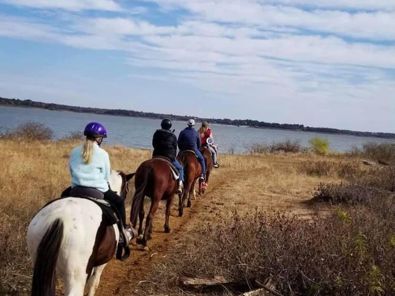 Horseback riding in Denton, Texas