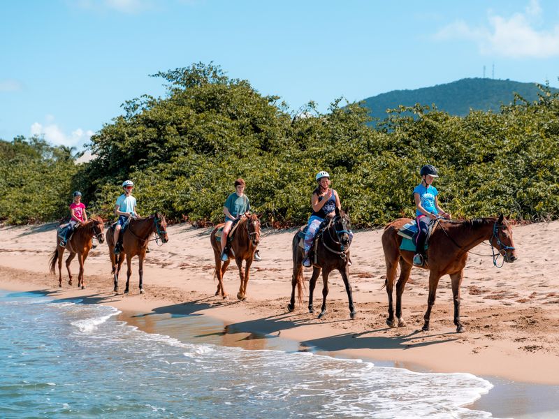 Horseback riding in Nevis, Caribbean