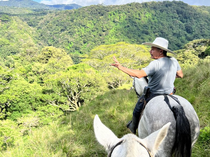 Horsetrek Monteverde in Costa Rica