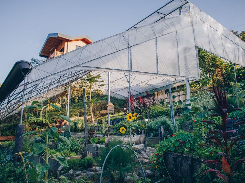 Hotel Belmar's organic garden